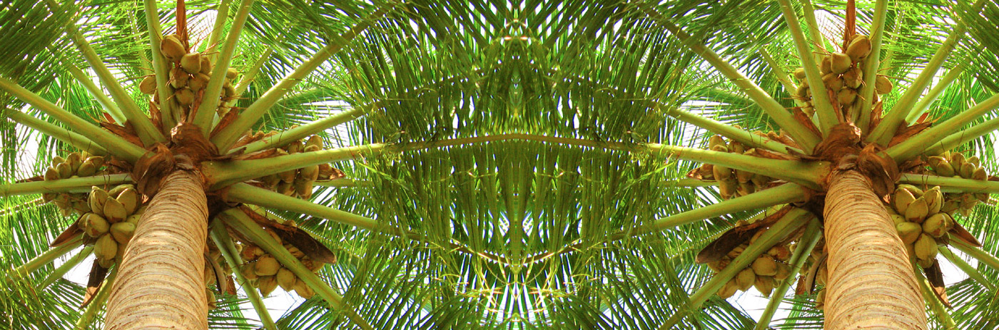 Slide background